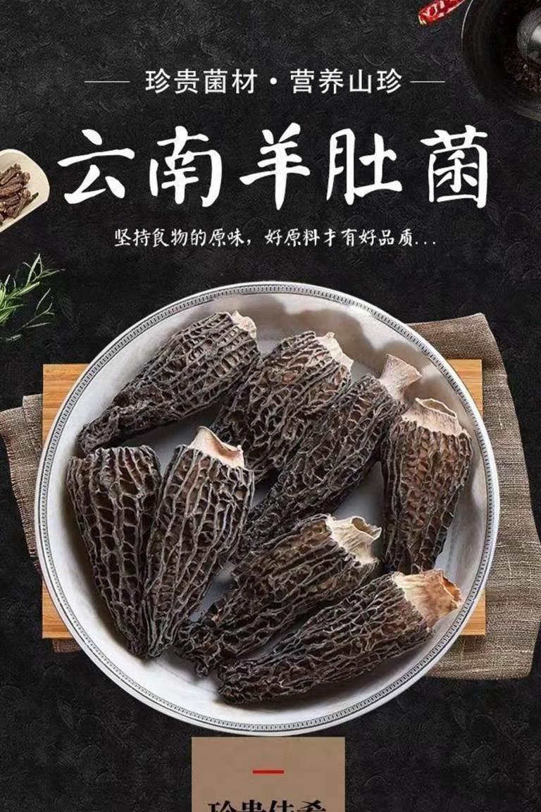 羊肚菌实拍图片/视频