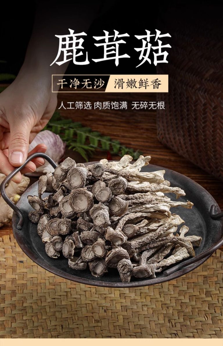 鹿茸菇实拍图片/视频