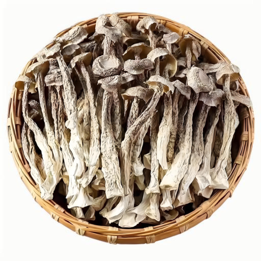 鹿茸菇产地直销-菌菇批发网