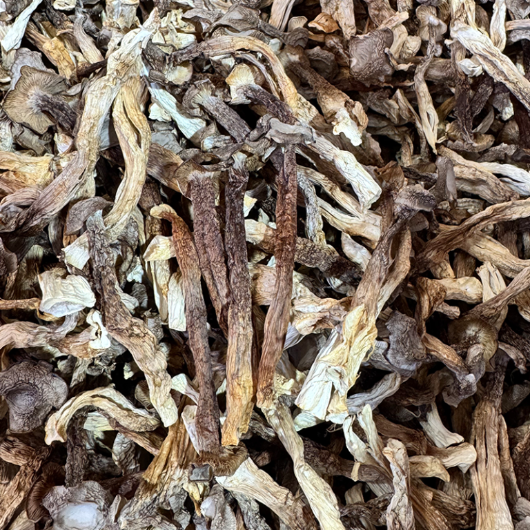 商用黑条鹿茸菇实拍图片/视频